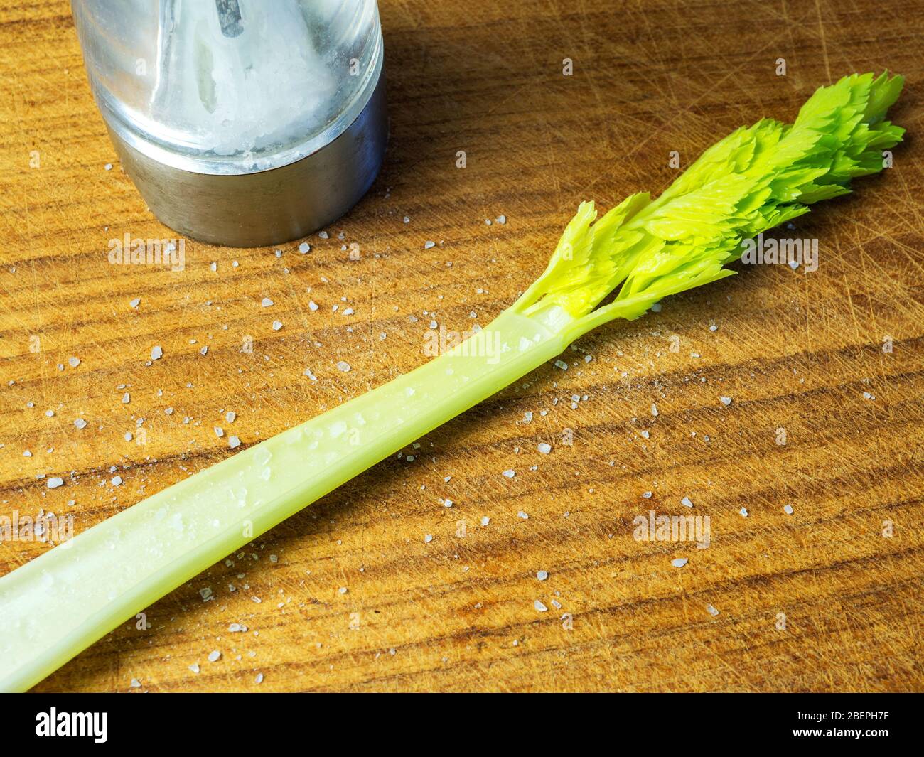 Ein einziger Stangensellerie auf einem Holzbrett mit frisch gemahlenem Meersalz und einer Salzmühle Stockfoto