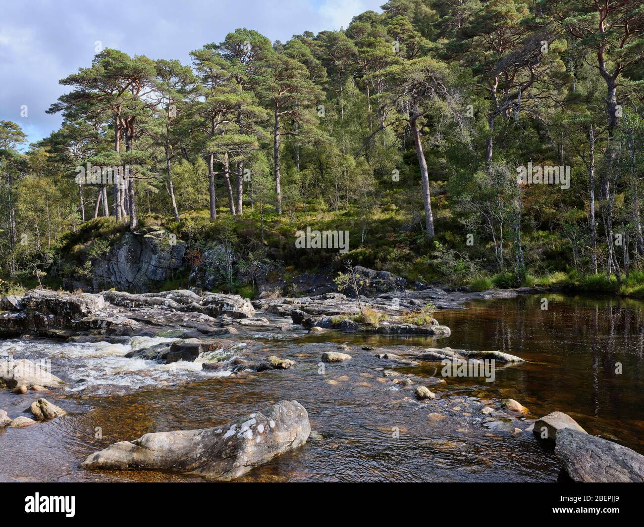 Glen Affric, Beauly, Inverness-Shire, Schottland, Großbritannien. 24/09/19. Stromabwärts von der Brücke bei Dog Falls in Glen Affric Teil des Caledonian Forest Stockfoto Glen Affric, Beauly, Inverness-Shire, Schottland, Großbritannien. 24/09/19. Stromabwärts von der Brücke bei Dog Falls in Glen Affric Teil des Caledonian Forest Stockfoto