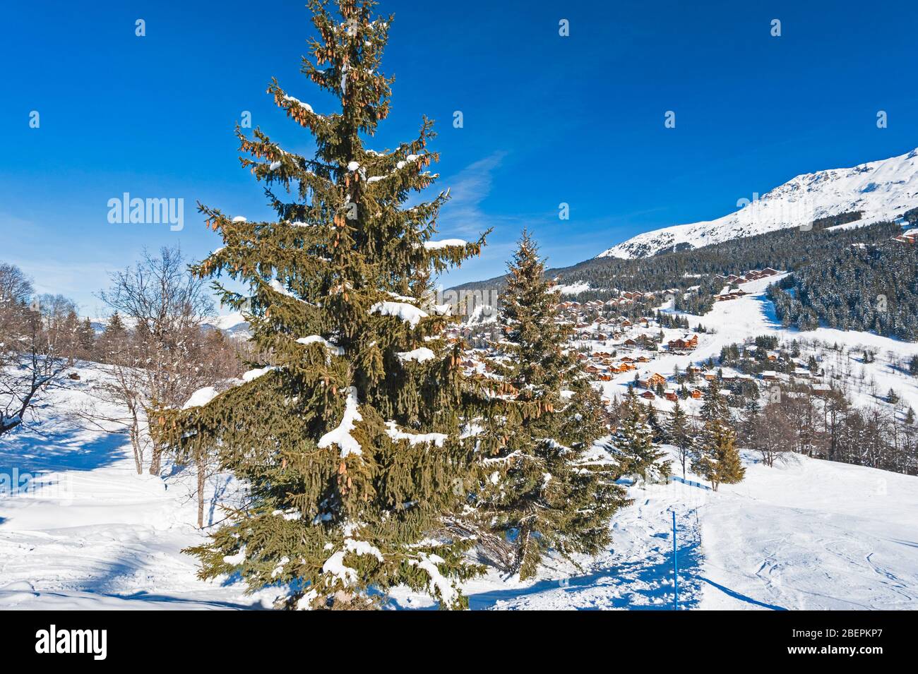 Panoramaaussicht, Snow Valley in alpinen Gebirgszug mit Nadelbäumen bedeckt Bäume auf blauen Himmel Hintergrund Stockfoto
