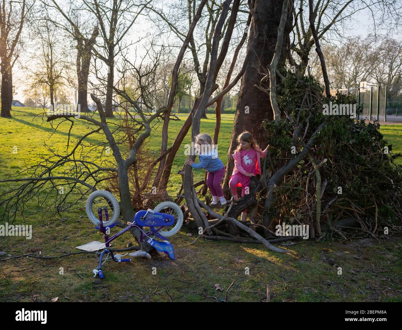 Zwei Schwestern spielen in einem Park an einem Baum, der zu einem Lager gemacht wurde, mit Ästen, die das Grundgebiet umschließen. Die Mädchen sind 2 (fast 3) und 4. Stockfoto