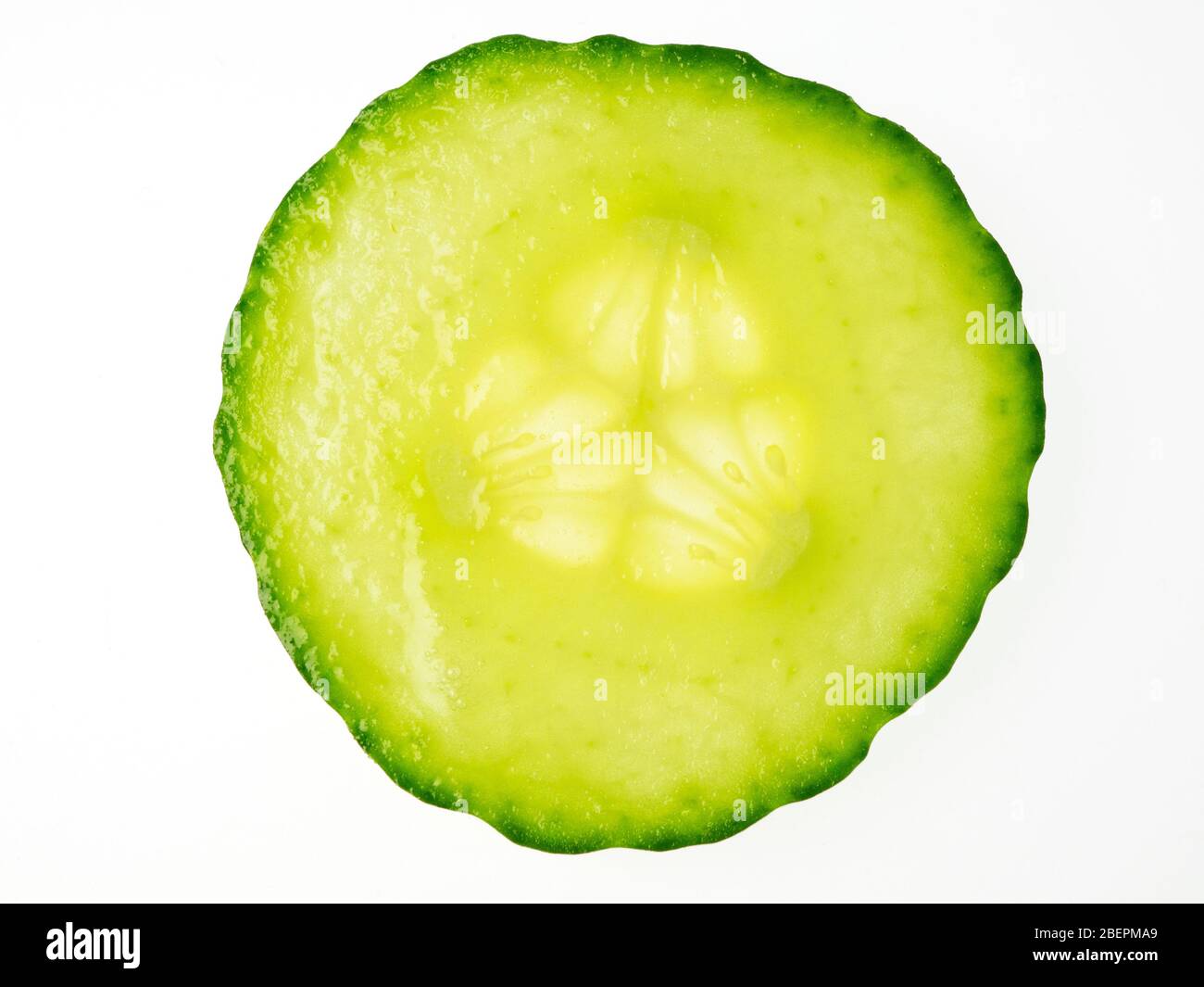 Einzelne Gurkenscheibe von oben auf weißem Hintergrund Stockfoto