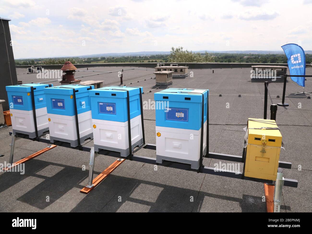Krakau. Krakau. Polen. Die Bienenstöcke auf dem Dach eines der Stadtgebäude. Stockfoto