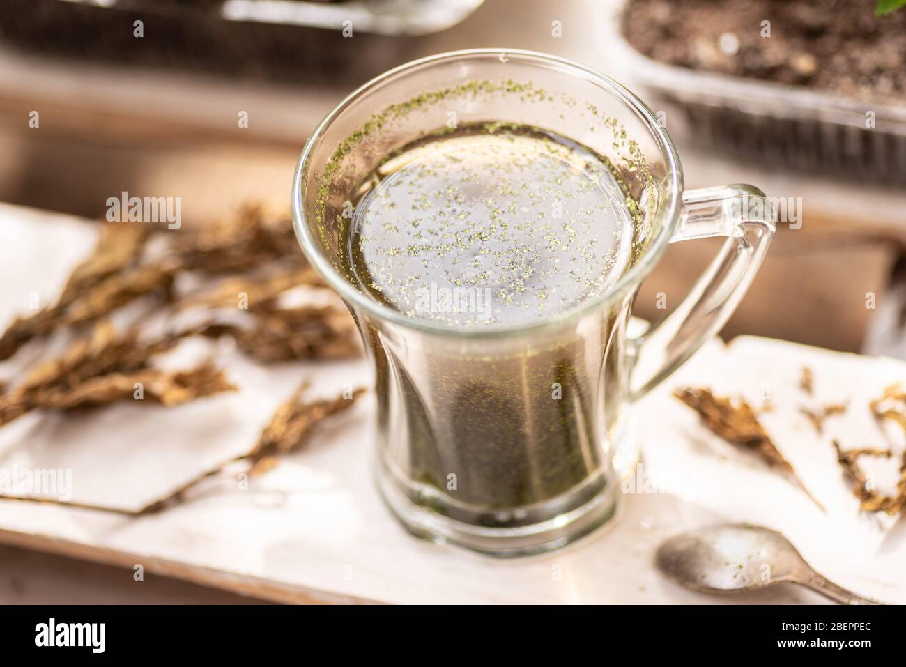 Ein Glas frisch gebrühter Kräuter wird draußen als gesunde Mahlzeit serviert Stockfoto
