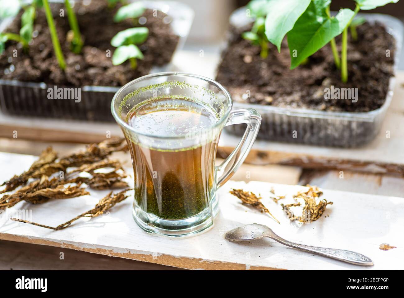 Ein Glas frisch gebrühter Kräuter wird draußen als gesunde Mahlzeit serviert Stockfoto
