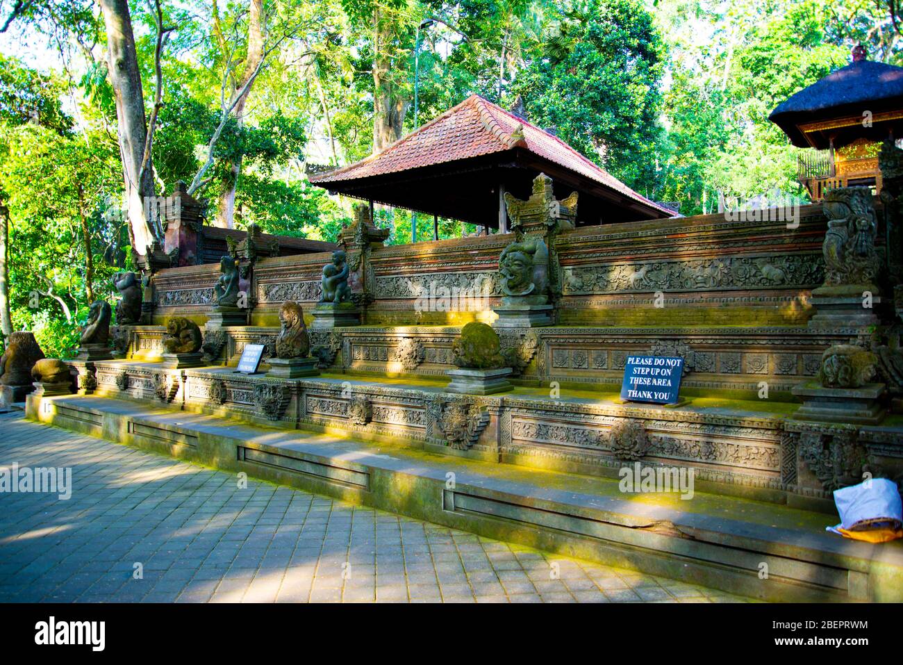 Affenwald von Ubud - Bali - Indonesien Stockfoto