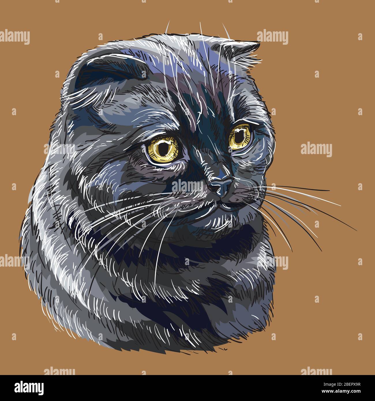 Bunte Vektor Hand Zeichnung Porträt von schottischen Falte Katze isoliert auf braunem Hintergrund. Farbenfrohe realistische Porträt der schottischen Katze. Vektorgrafik Stock Vektor