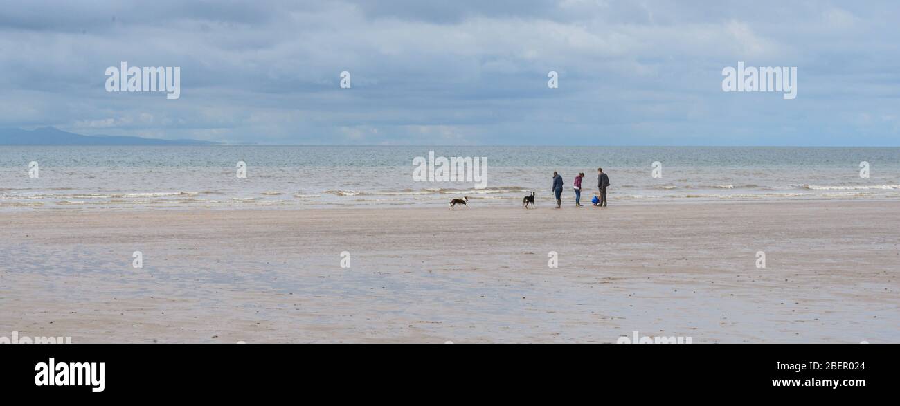 Familie Wanderhunde auf verlassenen bech in St Bees in Cumbria Stockfoto