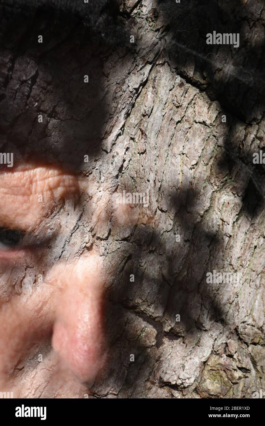 Doppelte Exposition eines männlichen Gesichts kombiniert mit der Rinde einer Eiche Stockfoto