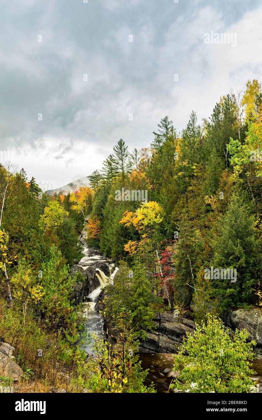 Wasserfall und Boquet River durchschneiden einen Adirondack Wald, Giant Mountain Wilderness, Essex County, NY Stockfoto