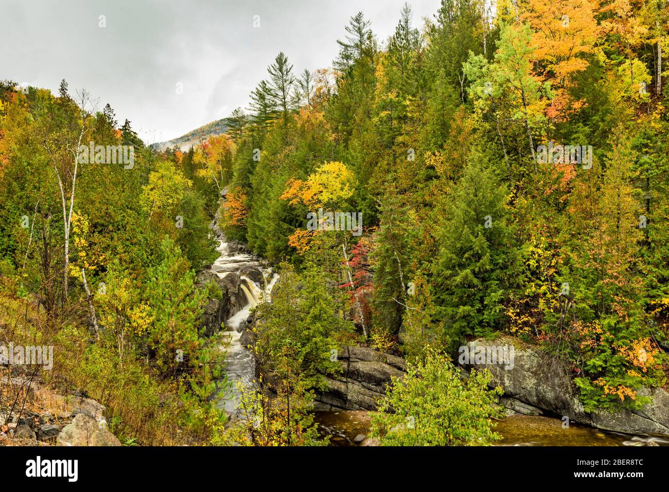 Wasserfall und Boquet River durchschneiden einen Adirondack Wald, Giant Mountain Wilderness, Essex County, NY Stockfoto