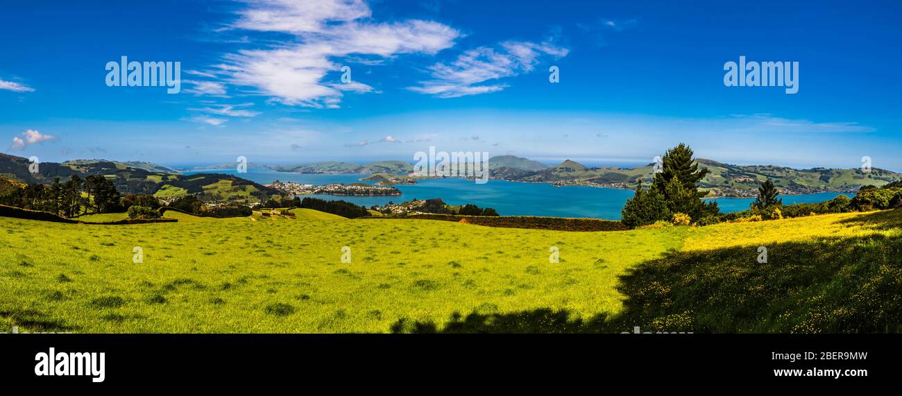 Panoramablick über die Otago Halbinsel von Mount Cargill, Dunedin, Otago, Neuseeland Stockfoto
