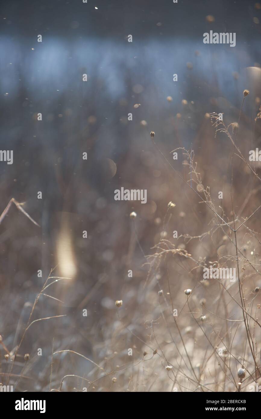 Es schneite Tag Stockfoto