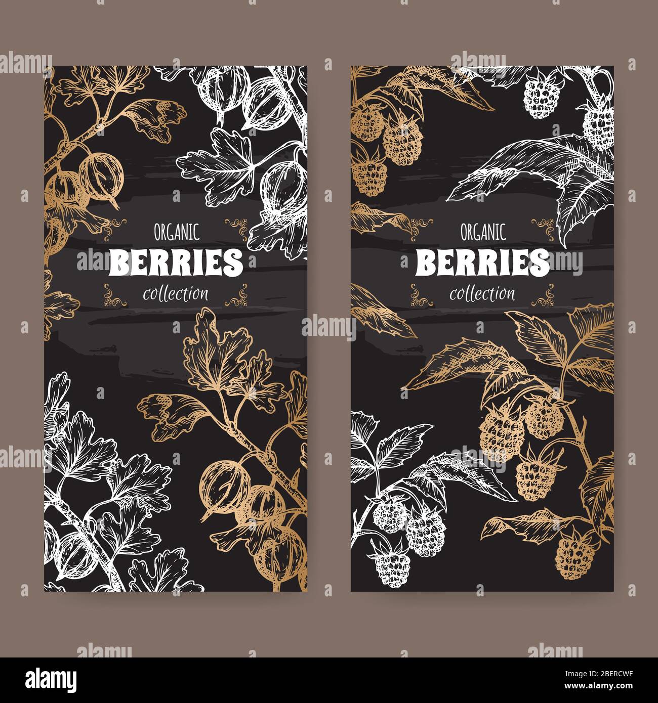 Zwei Lables mit Red Himbeer aka Rubus idaeus und Gooseberry aka Ribes uva-crispa Skizze auf schwarz. Berry Fruits Serie. Stock Vektor