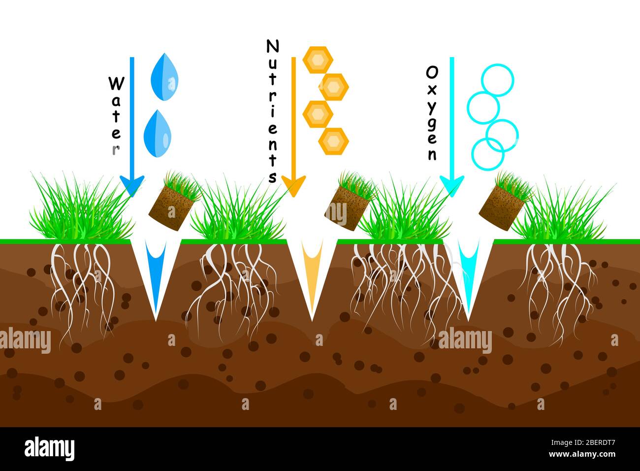 Belüftung des Rasens. Rasen Gras Pflege Service, Garten-und Landschaftsgestaltung. Rasen und Rasen Wartung. Für Artikel, Infografiken Anleitung. Stock-Vektor Stock Vektor