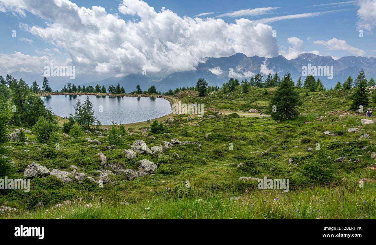 Sommer Blick auf den kleinen See im Pejo-Tal, Trentino-Südtirol, Norditalien Stockfoto
