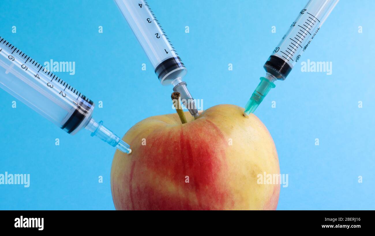 Drei verschiedene medizinische Spritzen, die tief in einen Apfel auf blauem Hintergrund stecken. Die Frucht ist mit Spritzen übersät. Ein reifer roter Apfel, der von al durchbohrt wurde Stockfoto