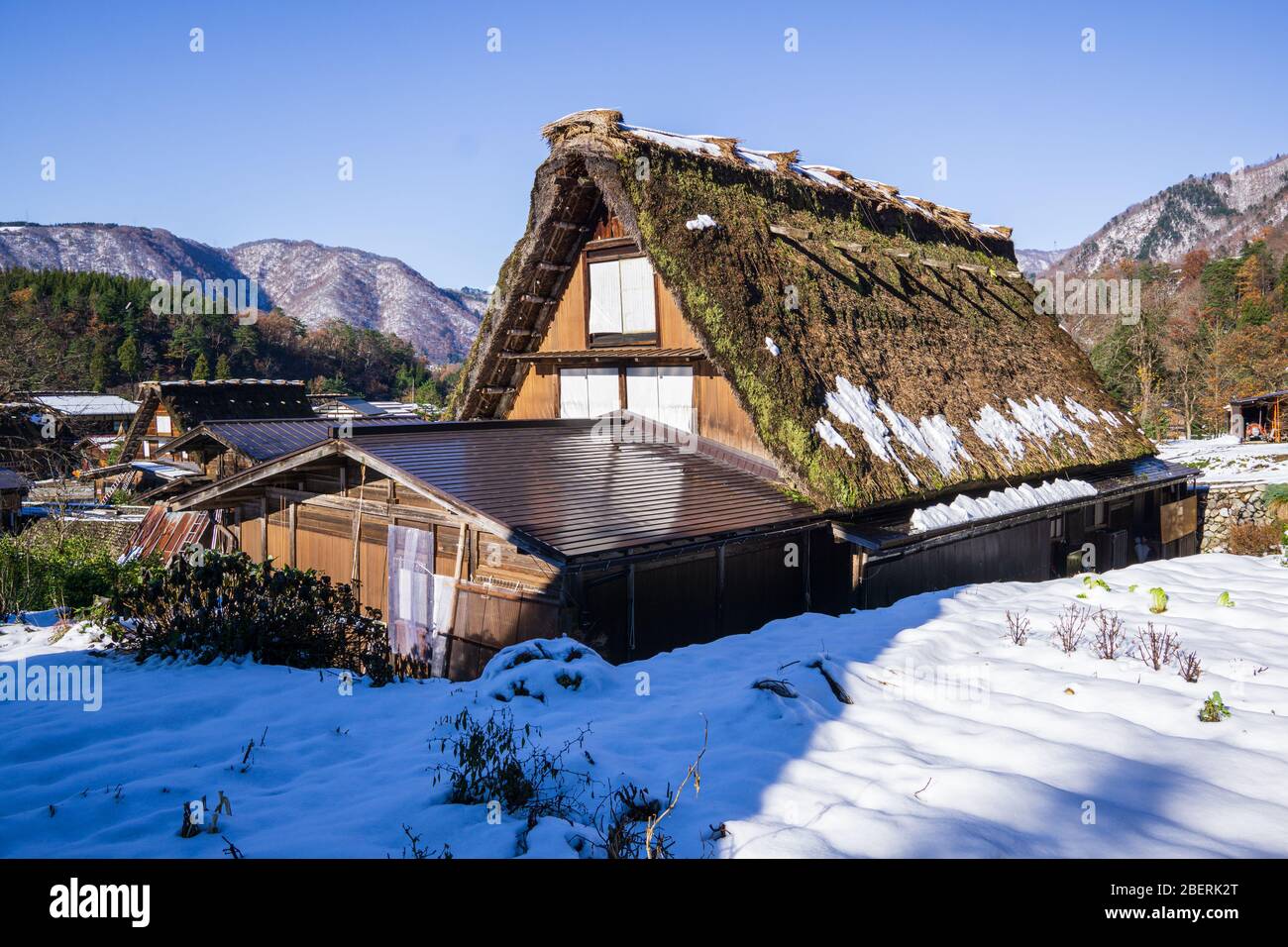 Das Dorf Shirakawa wurde 1995 zum UNESCO-Weltkulturerbe erklärt. Das mit steilen Reetdächern gestaltete Bauernhaus ähnelt den Händen von Buddhi Stockfoto