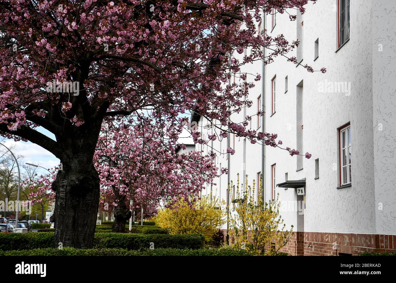 Berlin, Deutschland. April 2020. Häuser der Hufeisensiedlung in Britz