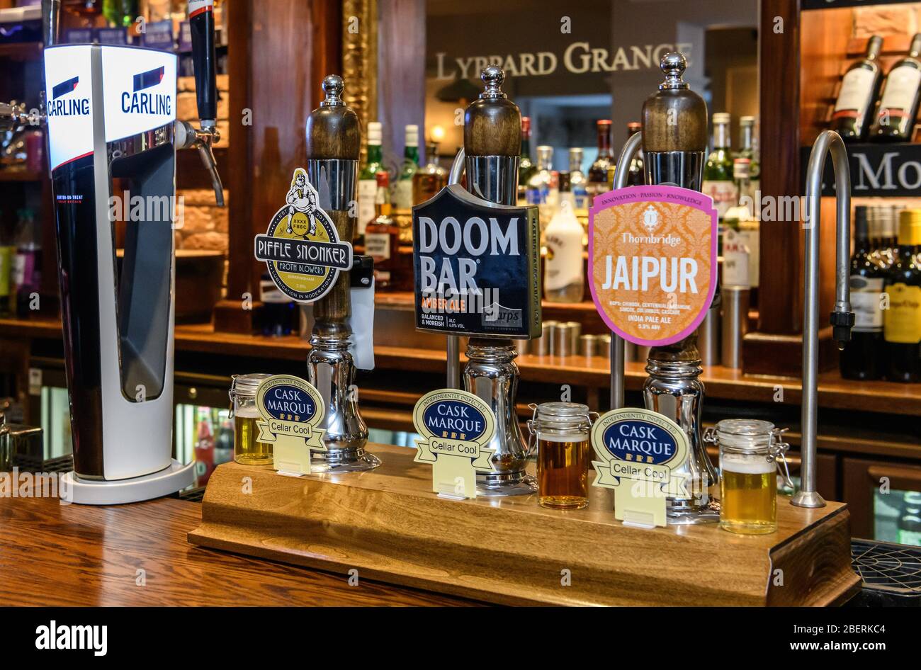 Echtes Ale und Lagerbier zieht / Zapfhahn Griffe an einer polierten Eichenbar in einem traditionellen Pub in Worcester, England, Großbritannien. Stockfoto