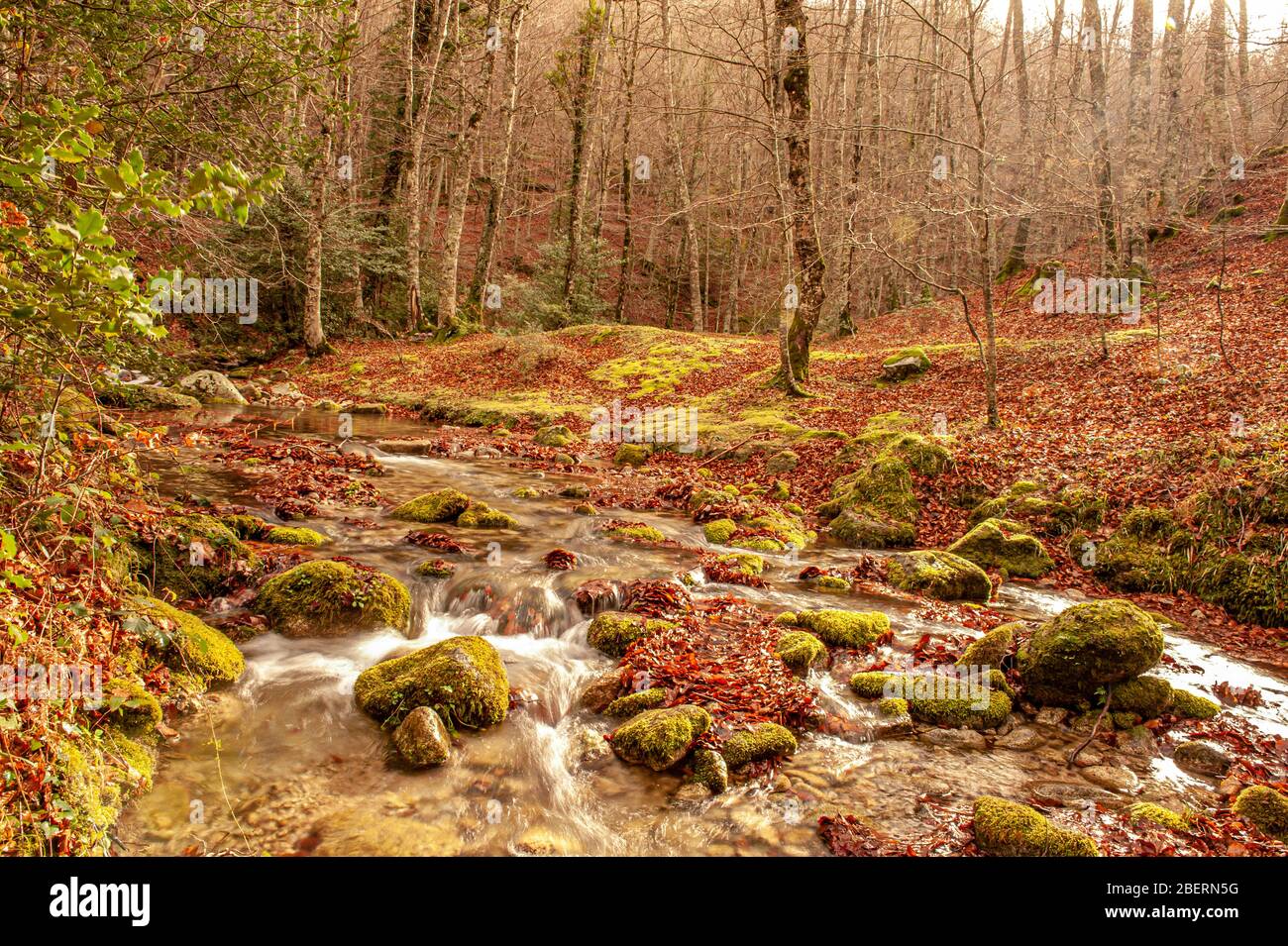 Italien Kalabrien Naturpark Le Serre - Vallata Fiumara Stilaro Stockfoto