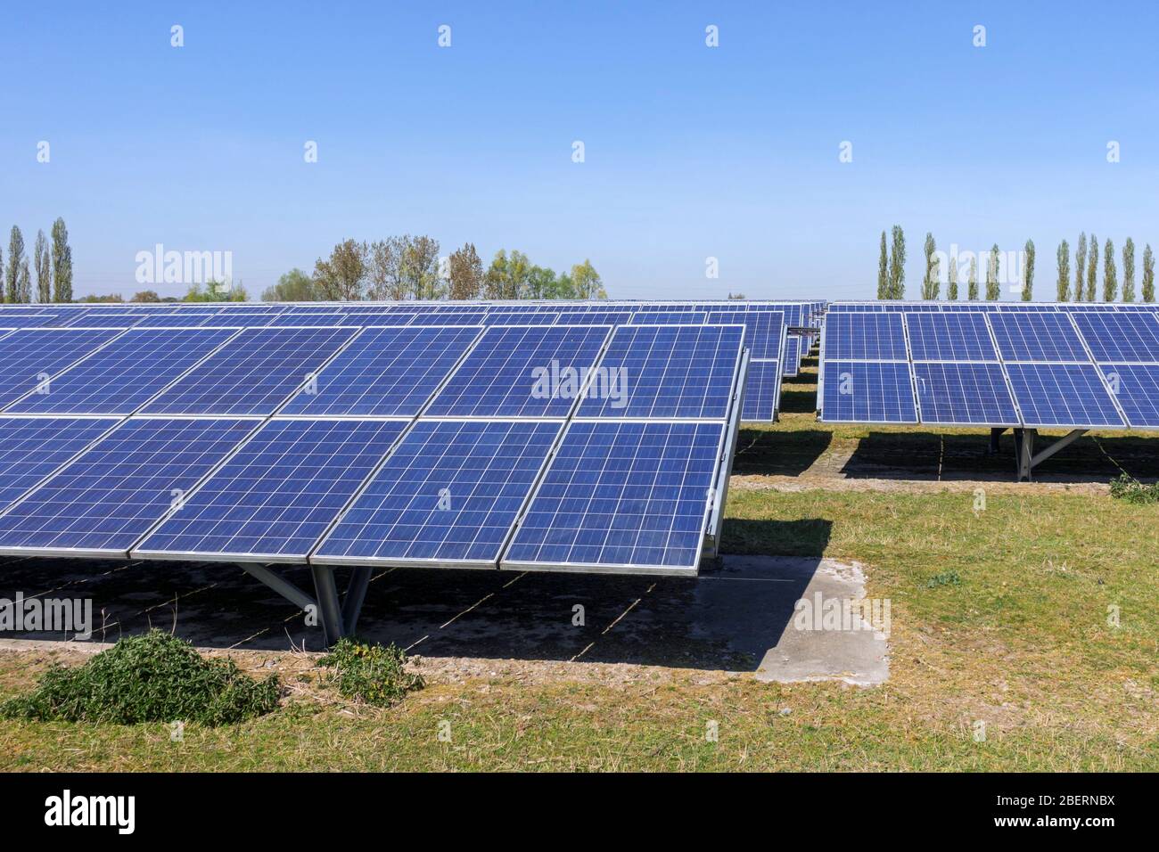 Solarpaneele von Photovoltaikkraftwerk / Solarpark für die Versorgung mit Strom / erneuerbare Energie Stockfoto