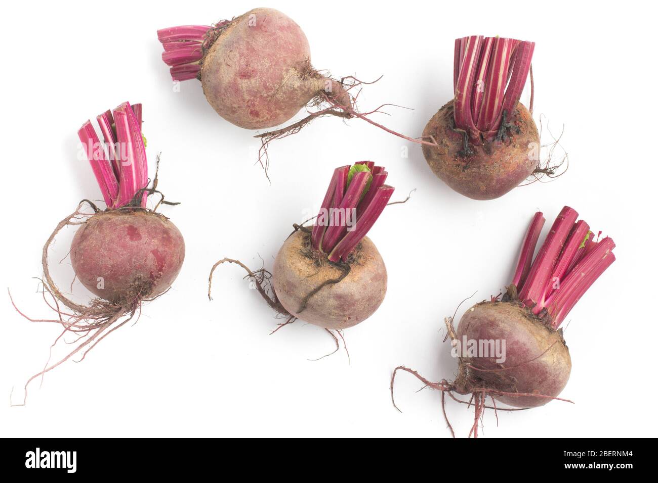 Bio Rübenwurzeln in weißem Hintergrund. Stockfoto