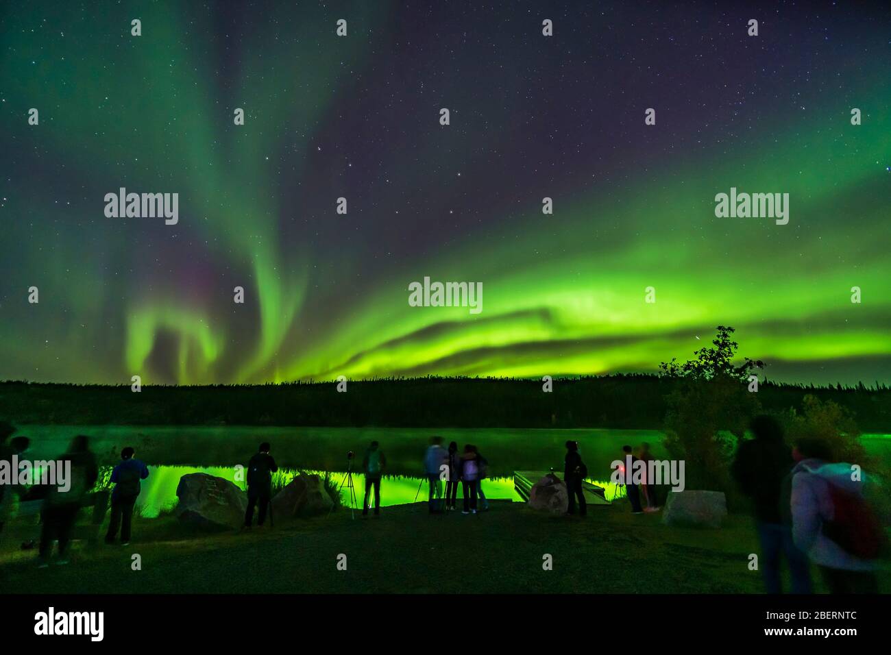 Eine Gruppe von Touristen nimmt die Nordlichter am Madeline Lake, Kanada, ein. Stockfoto
