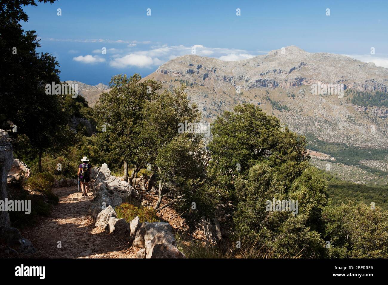 Serra de Tramuntana, Mallorca (Illes Balears, Balearen, Spanien, Europa) Stockfoto