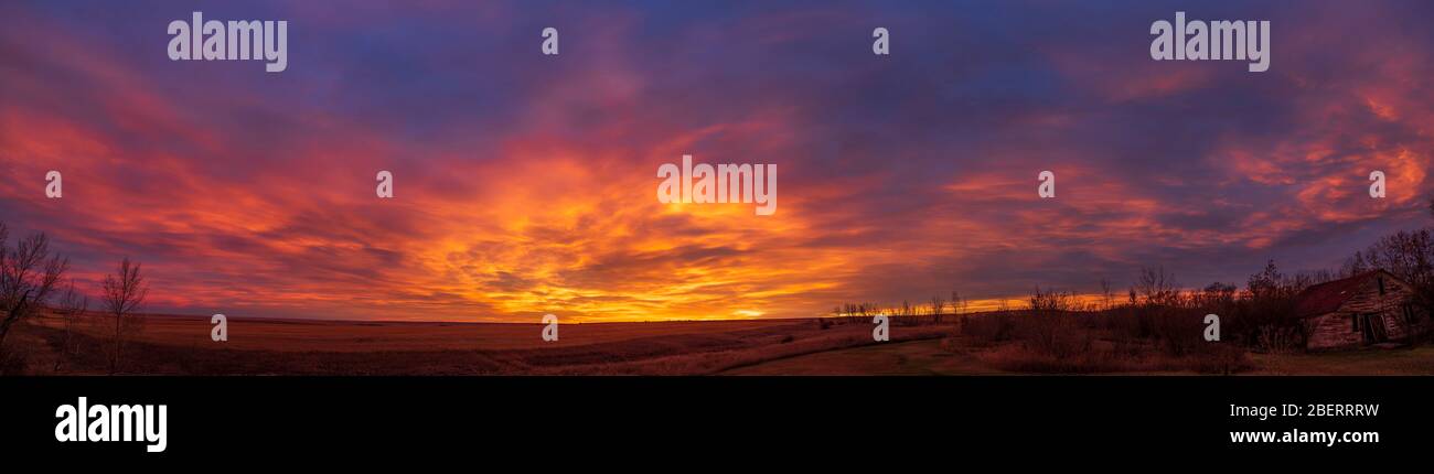 Spektakuläre Sonnenaufgangswolken über den Feldern von Alberta, Kanada. Stockfoto