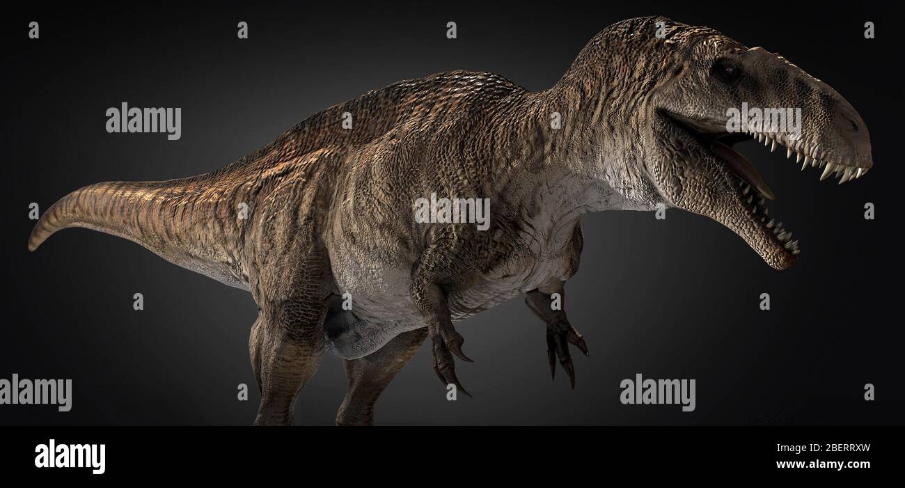 Acrocanthosaurus Dinosaurier auf farbigem Hintergrund. Stockfoto