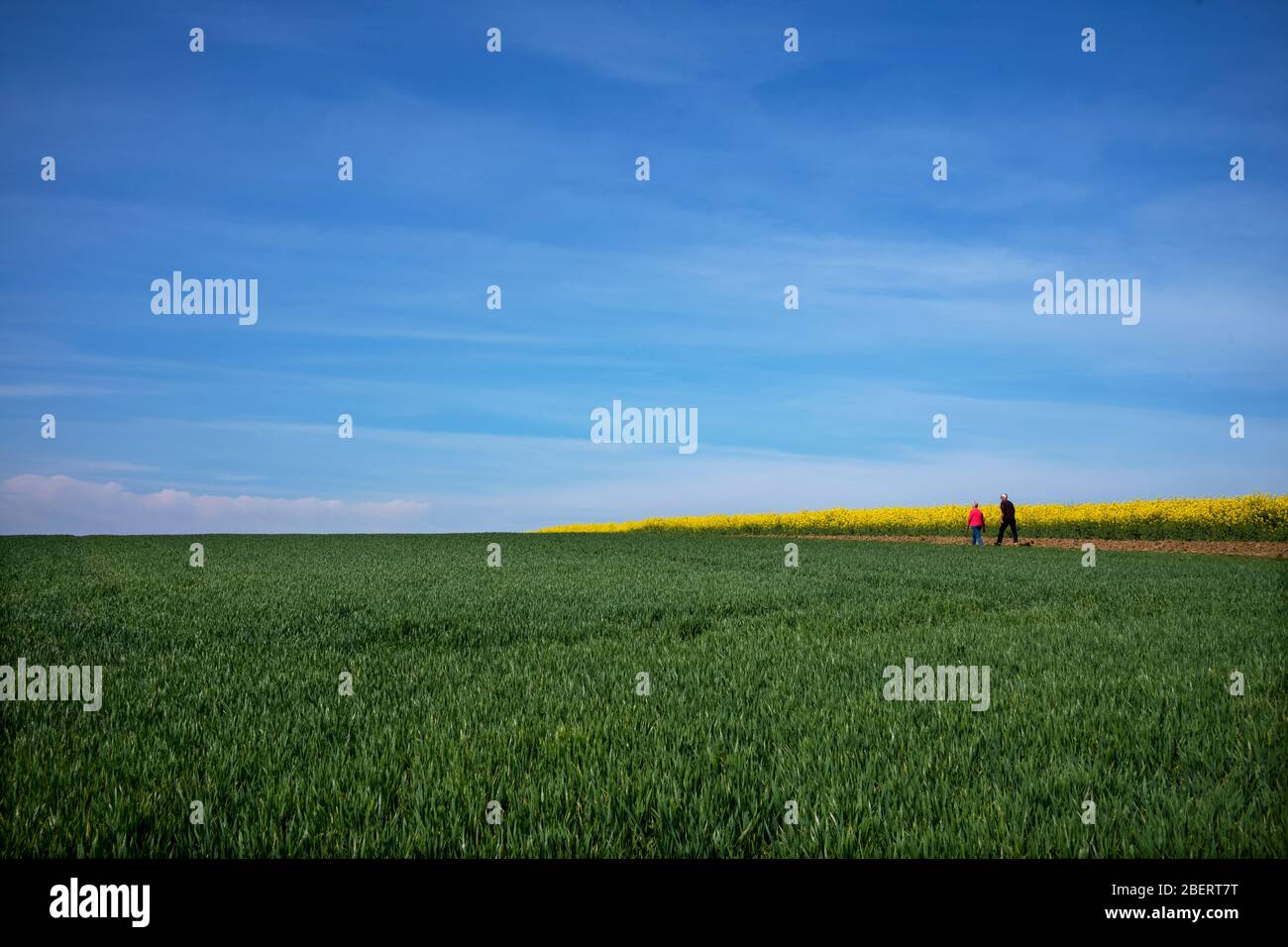 Thaxted Essex UK. Wanderer, die Übung machen, während Coronavirus-Sperre nach unten. April 2020 Stockfoto