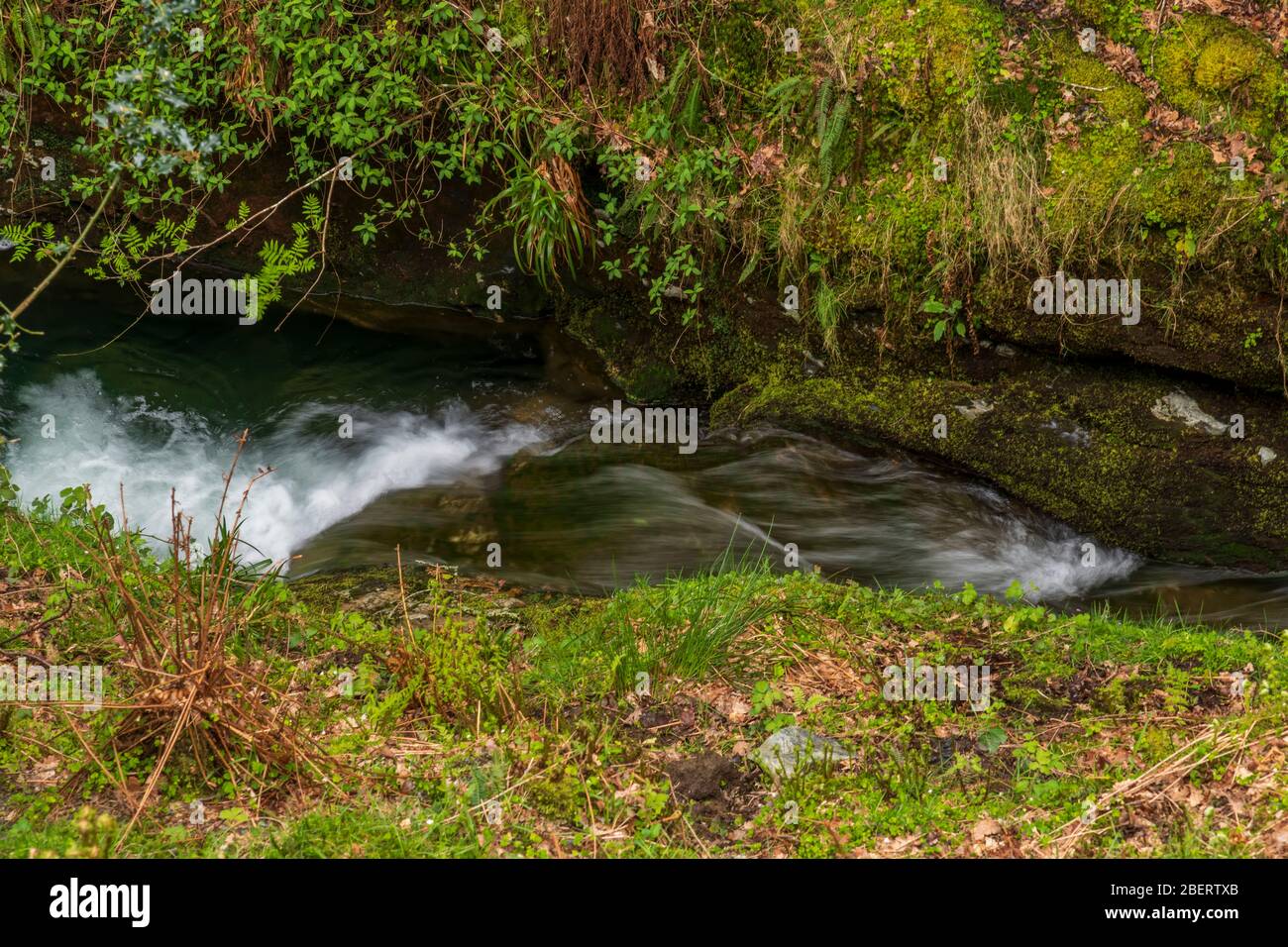 Poulanass Wasserfall in Wicklow Mountains Nationalpark, Irland. Stockfoto