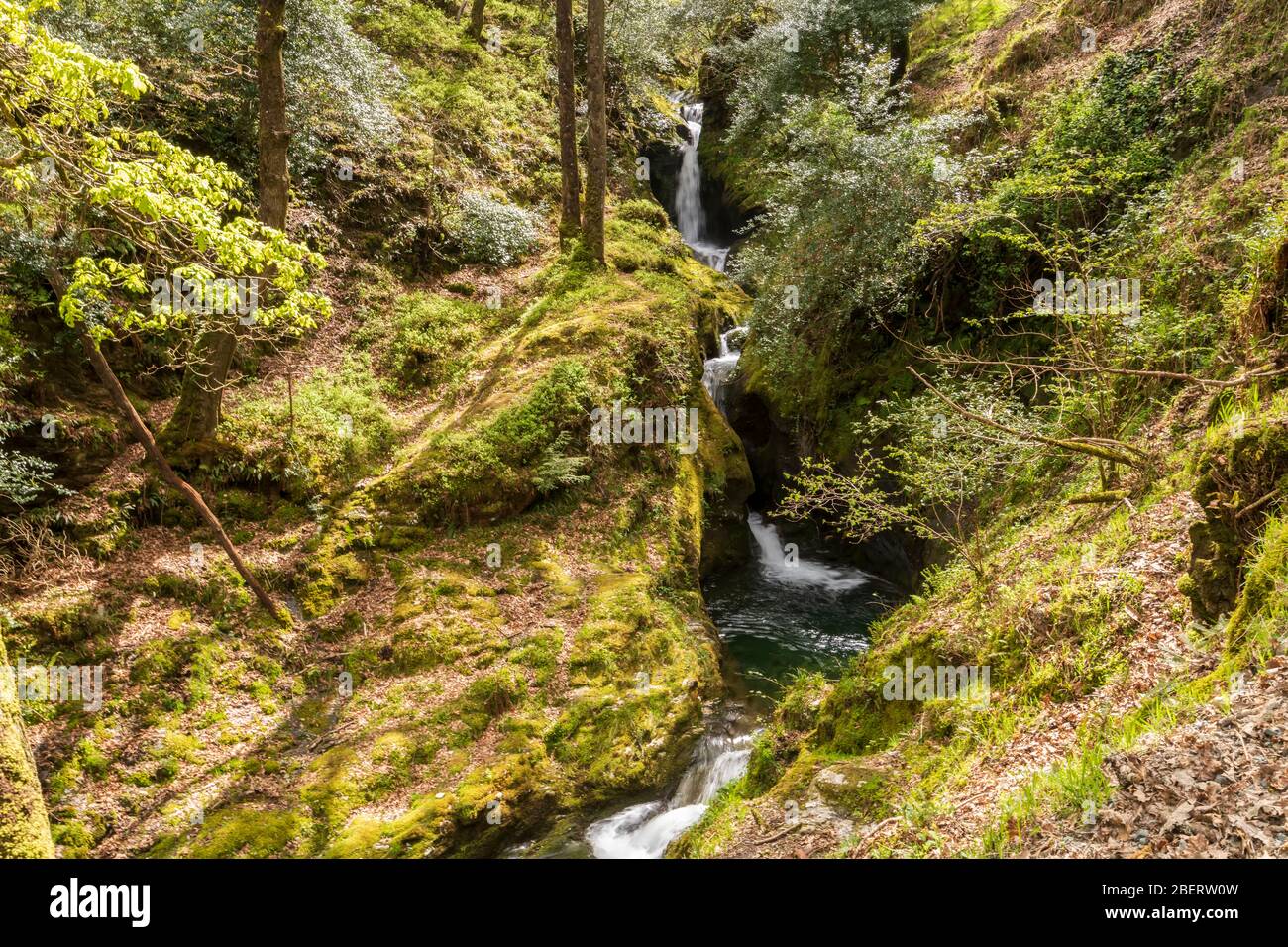 Poulanass Wasserfall in Wicklow Mountains Nationalpark, Irland. Stockfoto