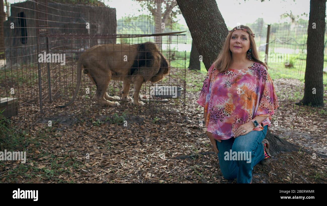 Carole Baskin, 'Tiger King: Murder, Mayhem, and Madness' (2020) Quelle: Netflix / The Hollywood Archive Stockfoto