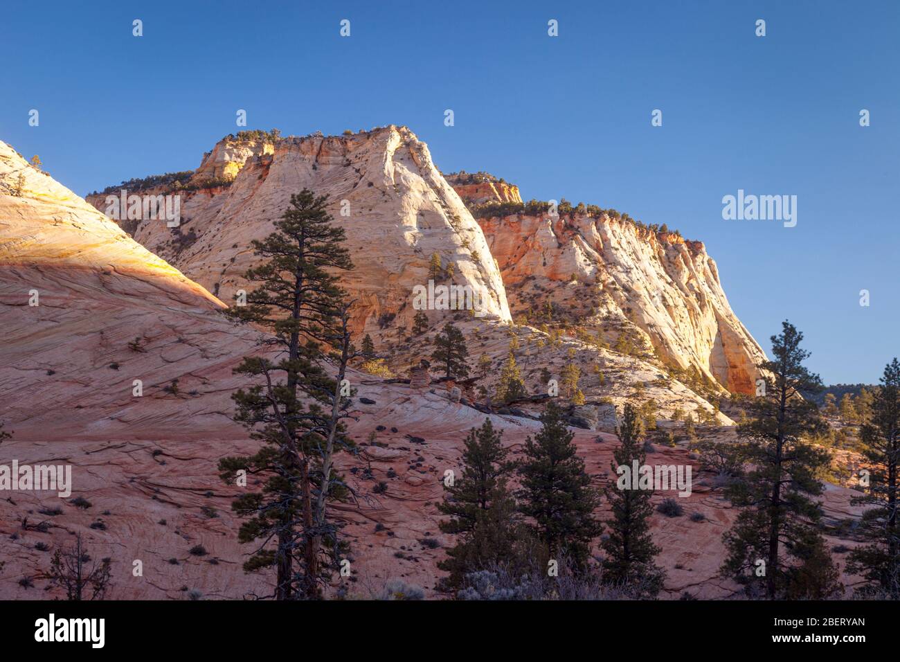 Frühmorgendliches Sonnenlicht auf Felsformationen im Zion Nationalpark, Utah USA Stockfoto