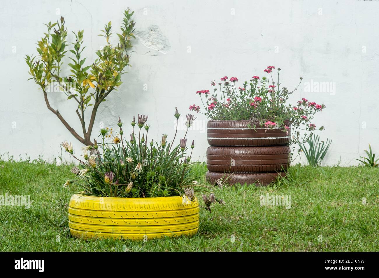 Schöne recycelte Vasen aus alten Reifen. Ideas, einen schönen Garten mit wiederverwendeten Materialien zu haben. Stockfoto