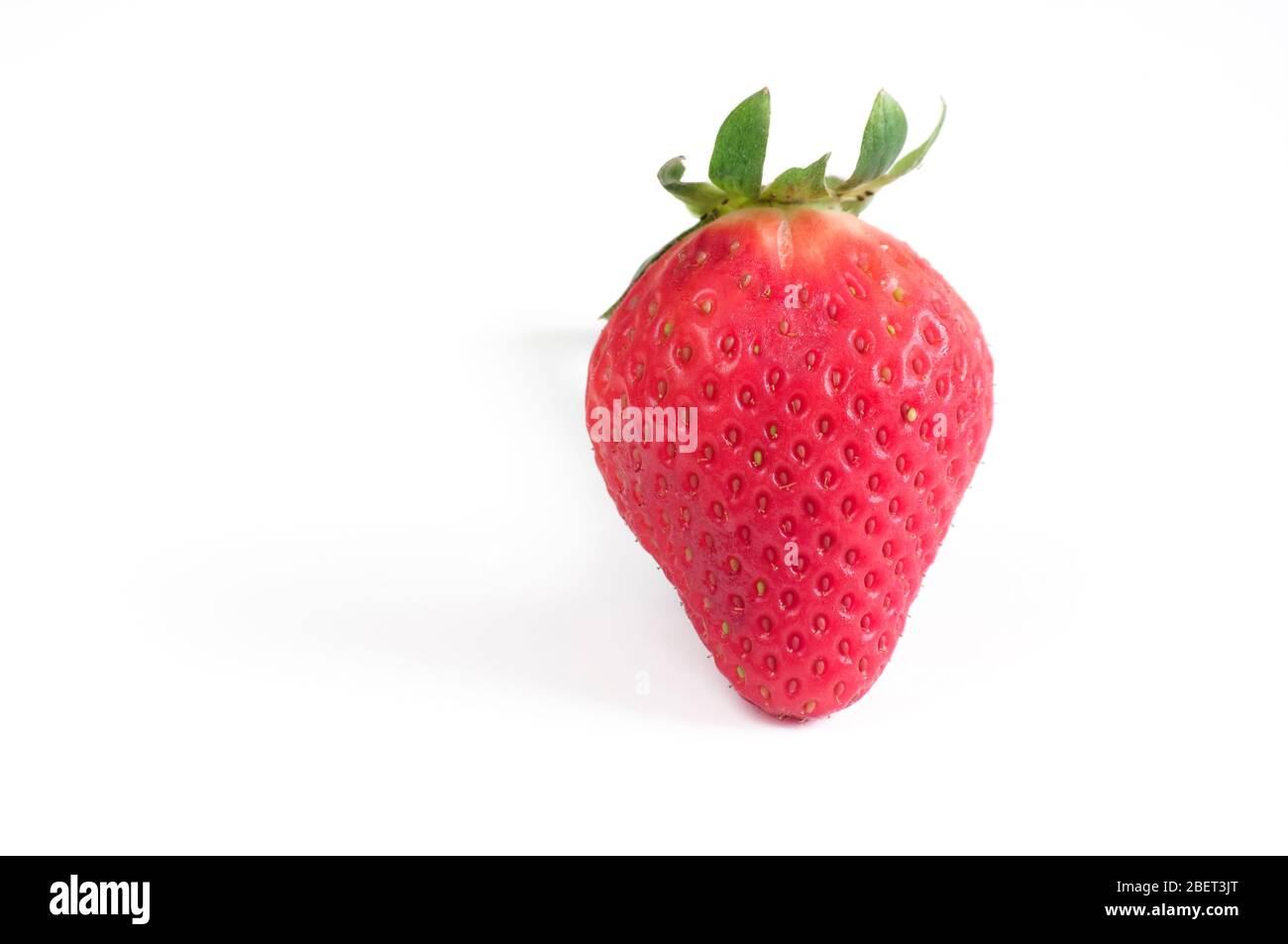 Bio-Erdbeere aus dem Obstgarten in Almera. Spanien. Stockfoto