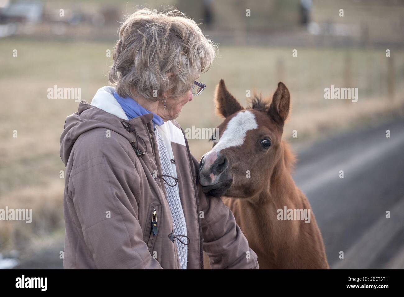 Frau und junges Pferd, Wallowa Valley, Oregon. Stockfoto