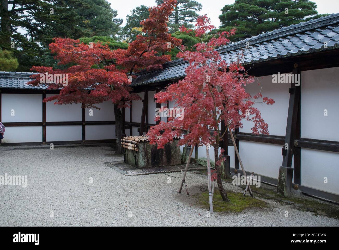 Kyoto Imperial Palace, 3 Kyotogyoen, Kamigyo Ward, Kyoto, 602-0881, Japan Stockfoto