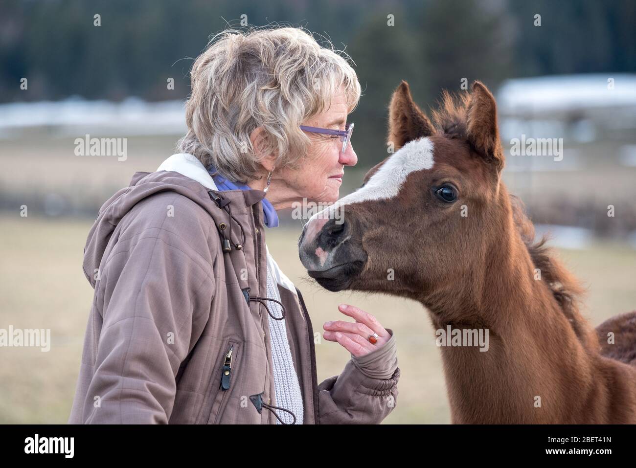 Frau und junges Pferd, Wallowa Valley, Oregon. Stockfoto