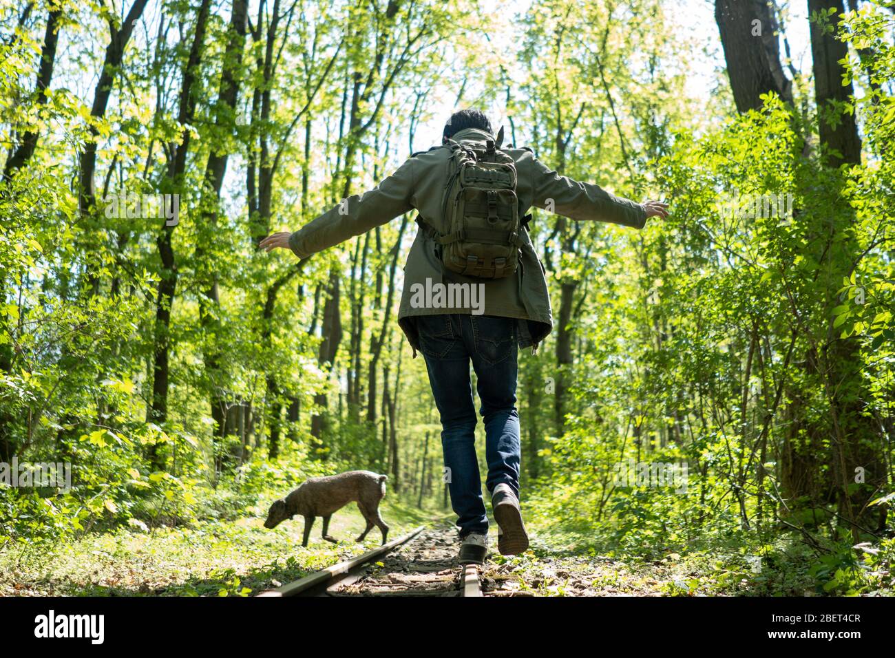 Ein Mann, der auf der Eisenbahnstrecke spielt, während er mit seinem Hund mitten im Wald läuft. Prater. Wien Stockfoto