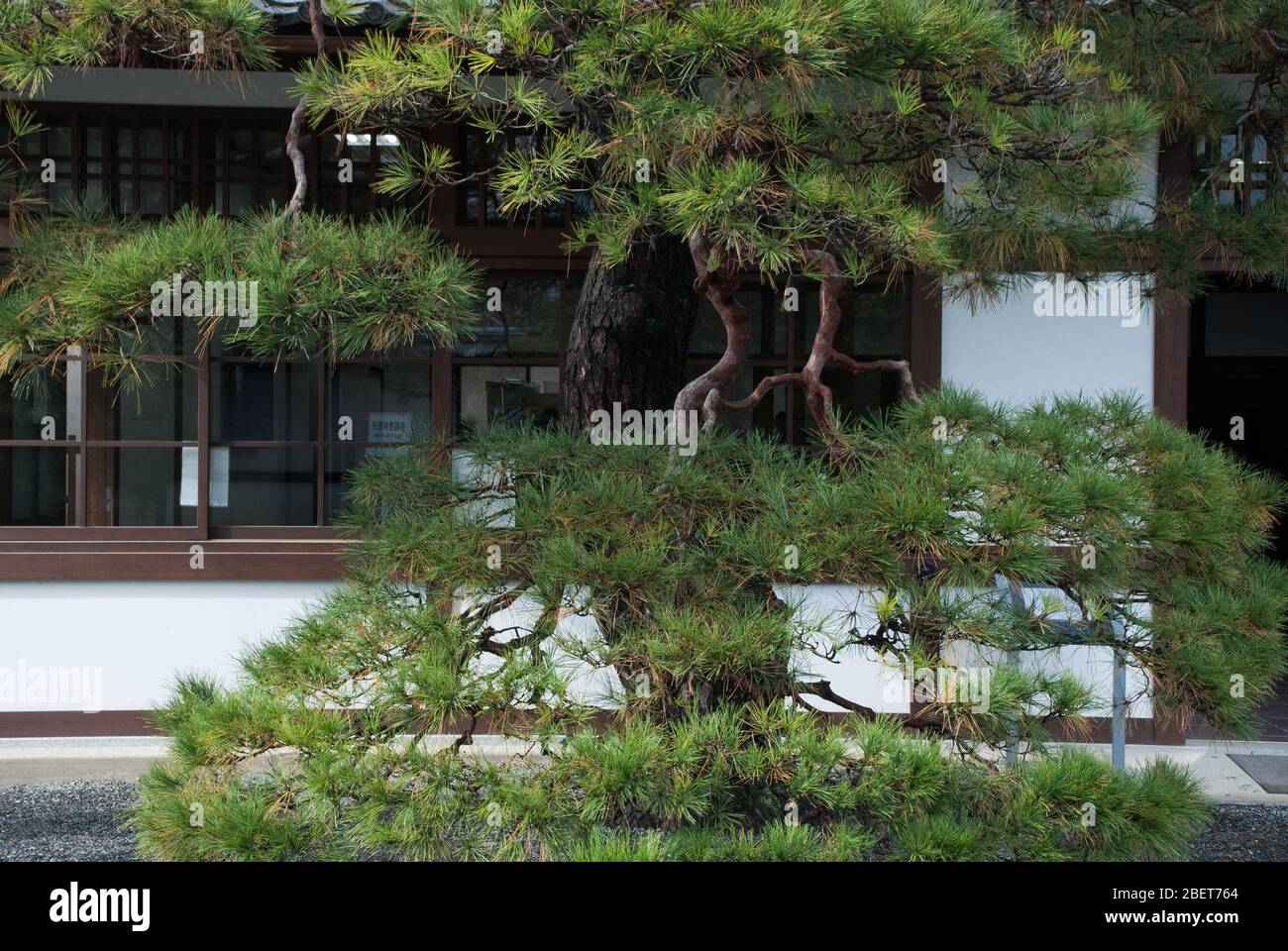 Kyoto Imperial Palace, 3 Kyotogyoen, Kamigyo Ward, Kyoto, 602-0881, Japan Stockfoto