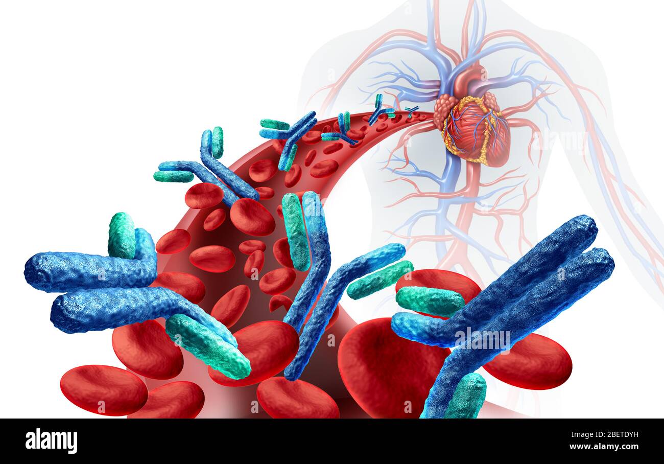 Antikörper im Blut im menschlichen Körper im Zusammenhang mit dem Immunsystem kämpfen Krankheit als medizinisches Symbol für Antikörper oder Immunglobulin. Stockfoto