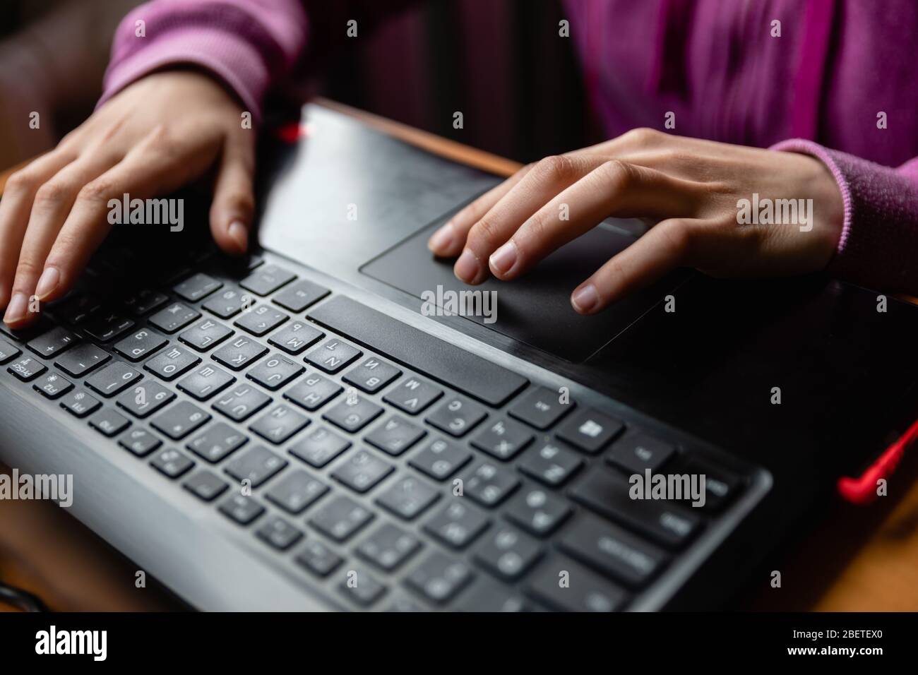 Junge kaukasische Mädchen in rosa Pullover am Computer beim Studium Online-Programmierung zu Hause in der Nähe des Fensters kopieren Raum Stockfoto