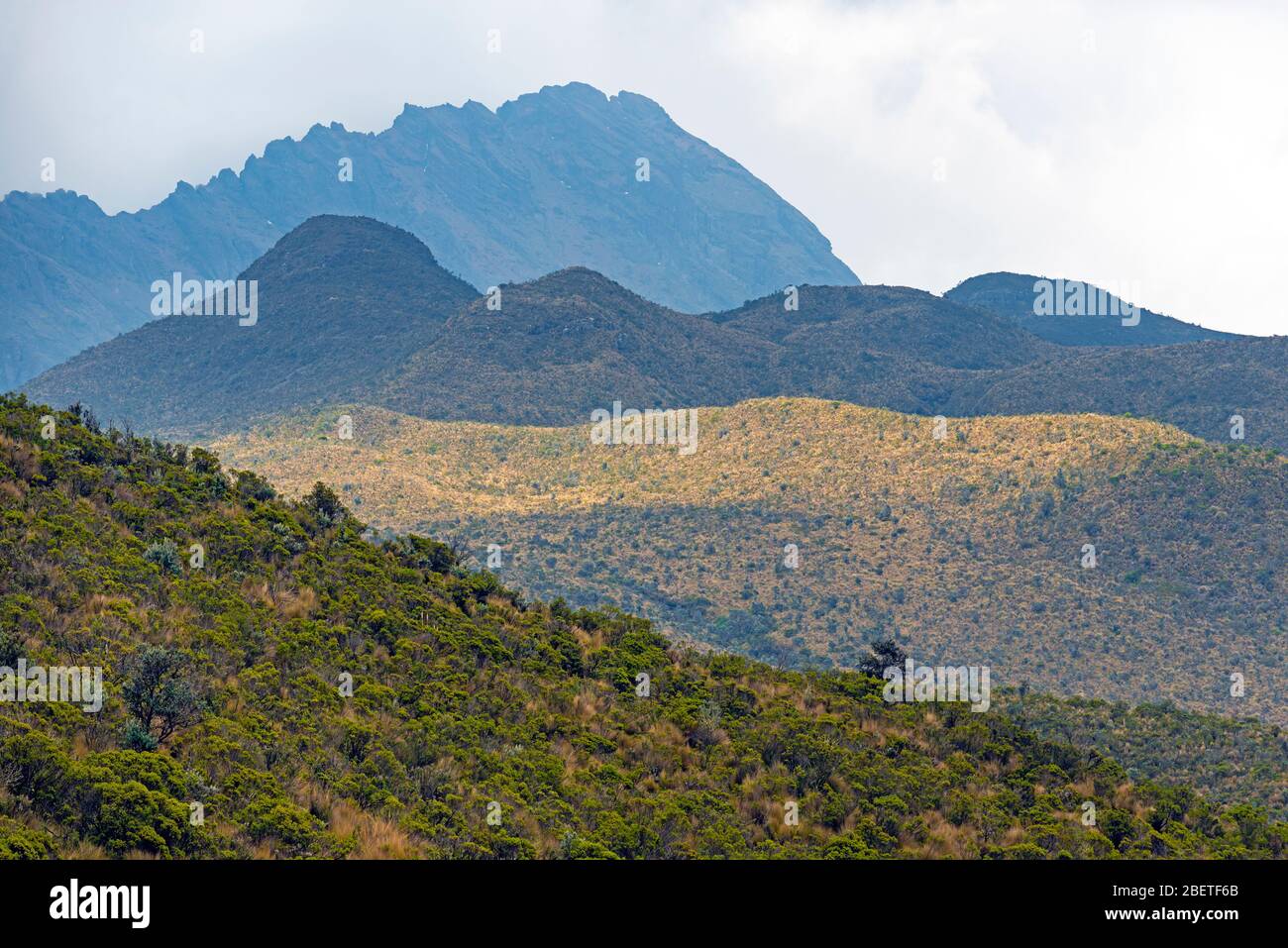 Verschiedene Schichten von Farben und Höhe in den Anden Bergkette und Paramo Ökosystem, Cotopaxi Nationalpark, Quito, Ecuador. Stockfoto