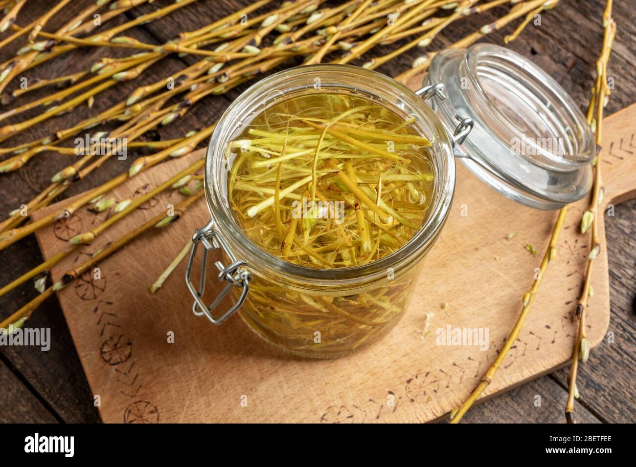 Vorbereitung der Tinktur aus der weißen Weidenrinde Stockfoto