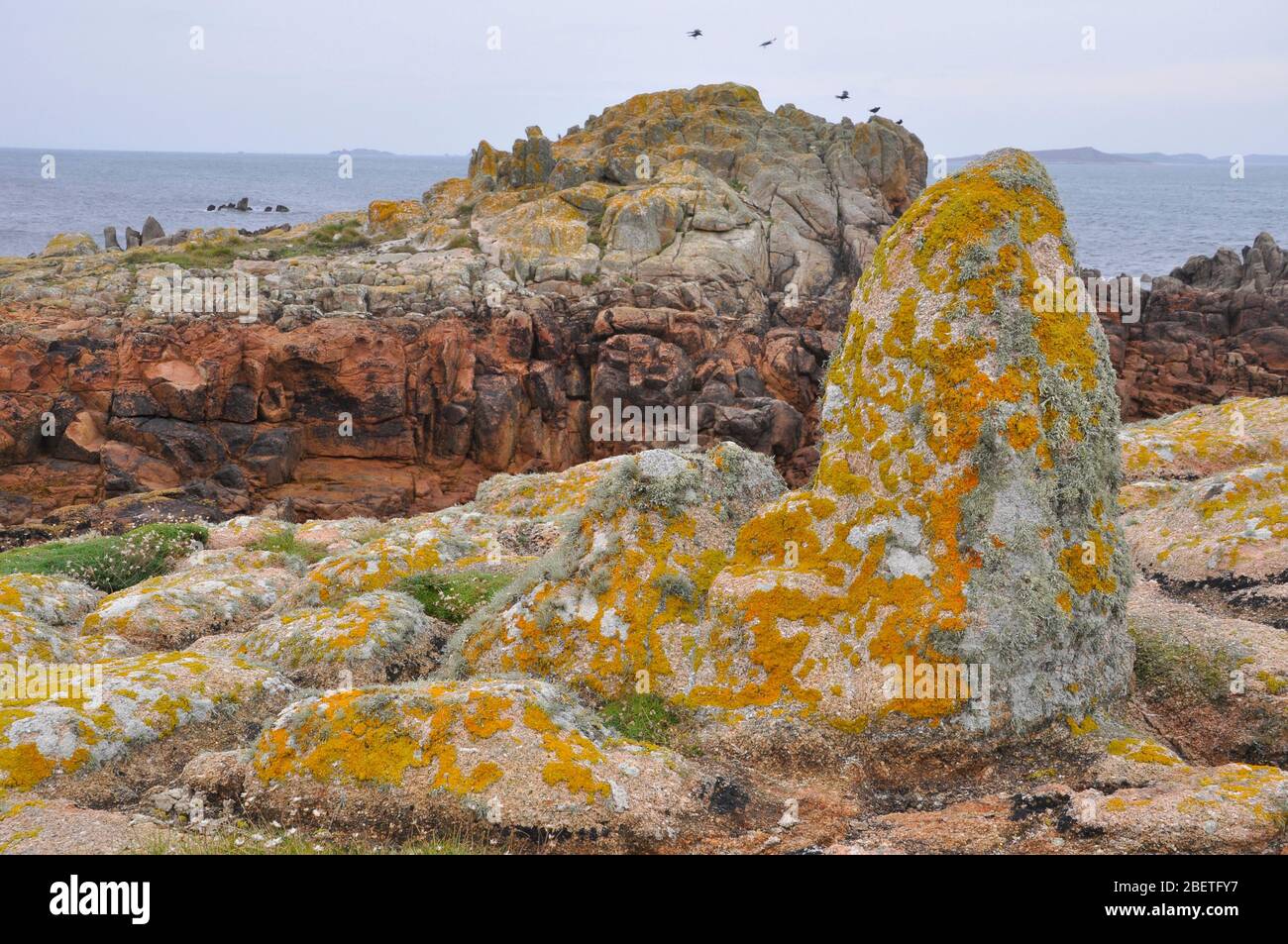 Orange Lichen bedeckte Granitfelsen mit mehrfarbigen Gezeitenküstenfelsen auf der Insel St. Agnes auf den Inseln Scilly, Cornwall. GROSSBRITANNIEN Stockfoto
