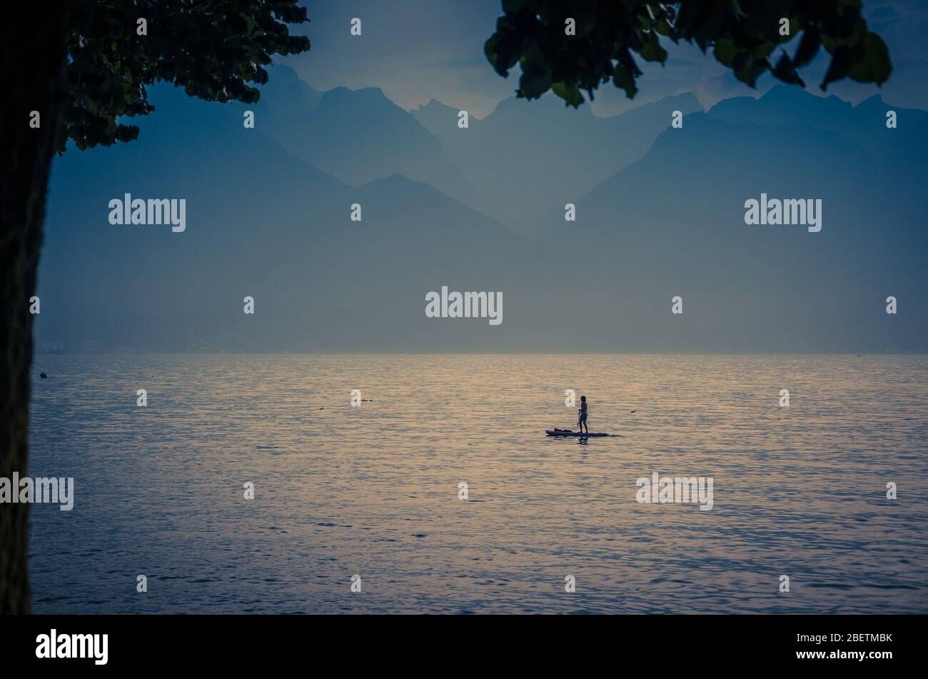 Blick auf die Alpen, Figur Silhouette eines Mannes auf einem Surfbrett mit Paddel auf dem Genfer See in Montreux, Schweizer Riviera, Kanton Waadt, Stockfoto