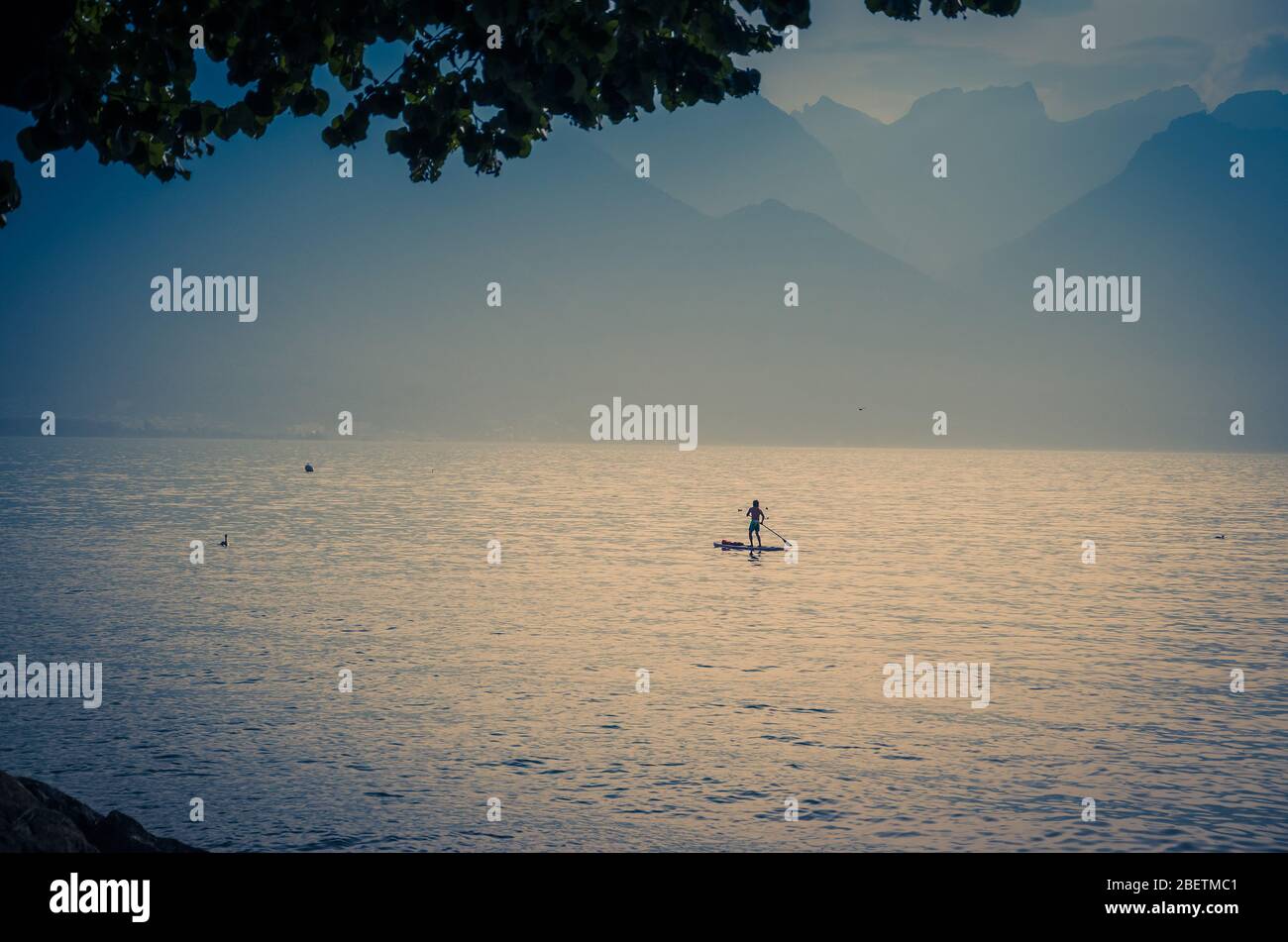 Blick auf die Alpen, Figur Silhouette eines Mannes auf einem Surfbrett mit Paddel auf dem Genfer See in Montreux, Schweizer Riviera, Kanton Waadt, Stockfoto