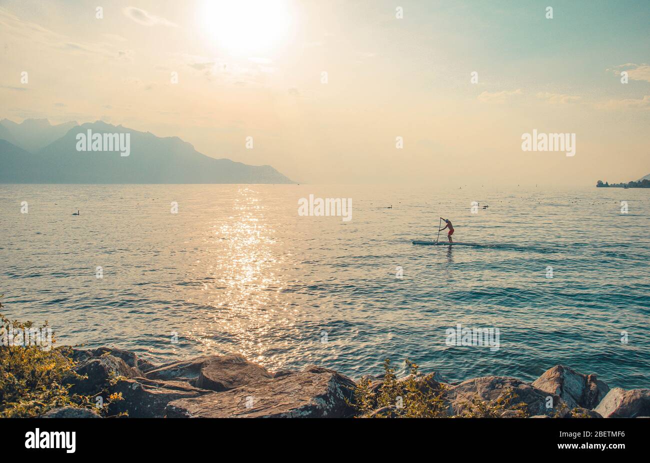 Blick auf die Alpen, Figur Silhouette eines Mannes auf einem Surfbrett mit Paddel auf dem Genfer See in Montreux, Schweizer Riviera, Kanton Waadt, Stockfoto